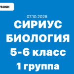 олимпиада по биологии 5-6 класс сириус 7 октября