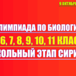 олимпиада по биологии сириус 9 октября 2025 3 4 группа